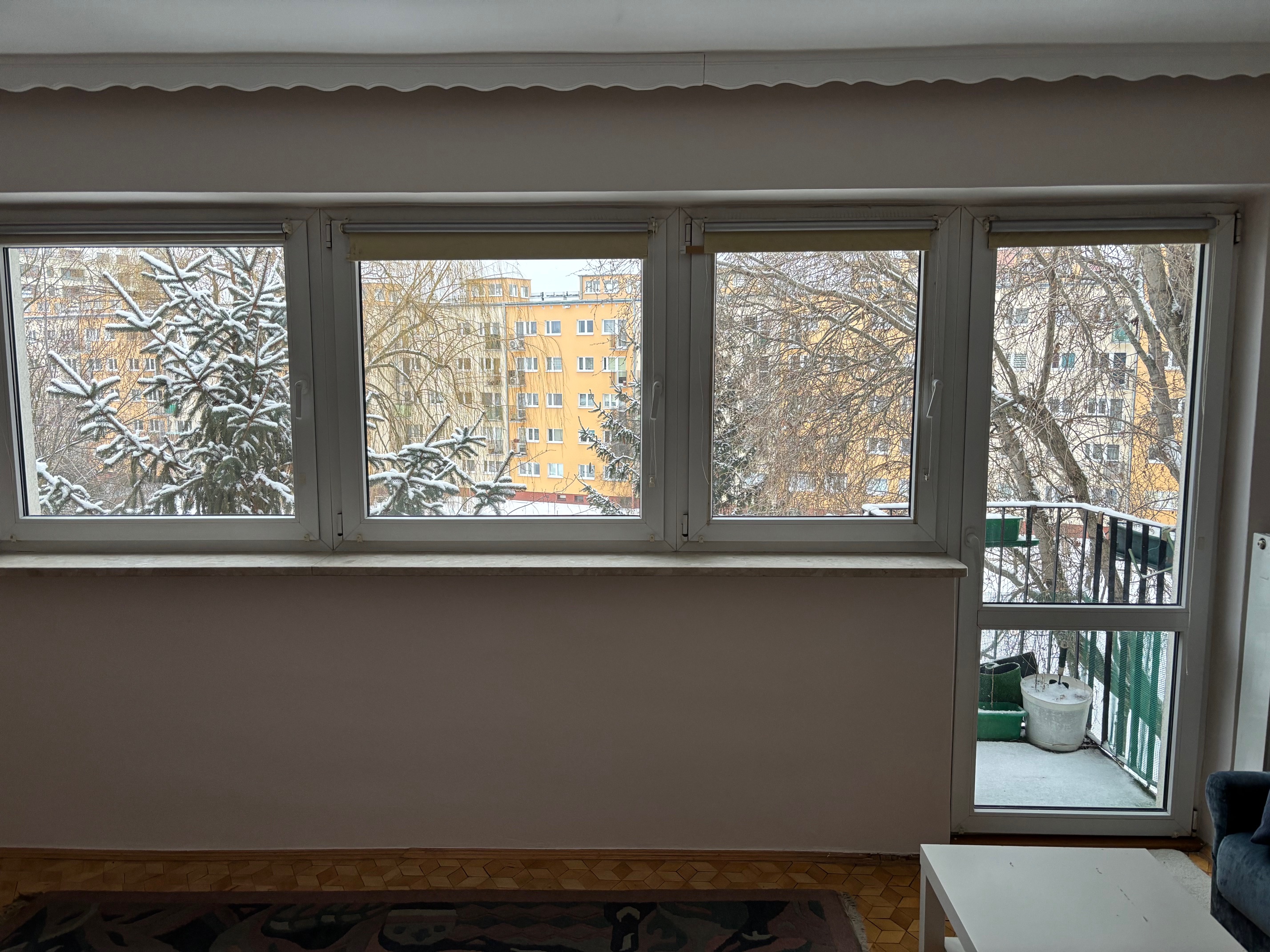 Salon - widok na podwórko